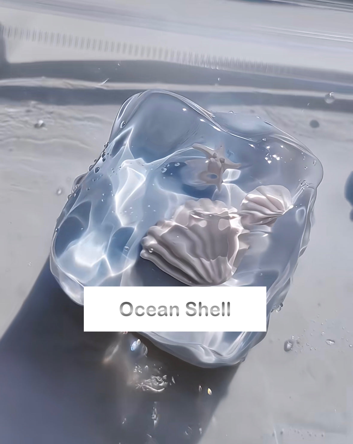 Ocean Shell Squishy Fidget Toy