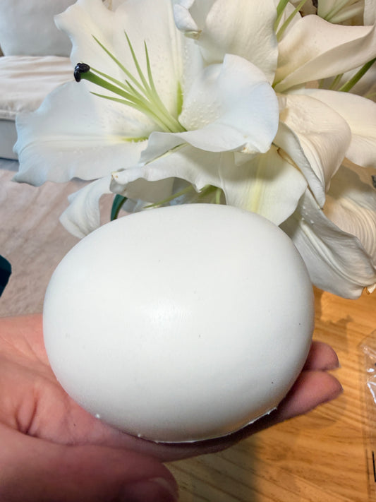 Soft Milk Bun(Scented) Hachimi Foam Slow Rebound Squishy Fidget Toy