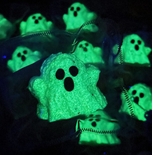 Ghost Glow in Dark Halloween Squishy Fidget Toy